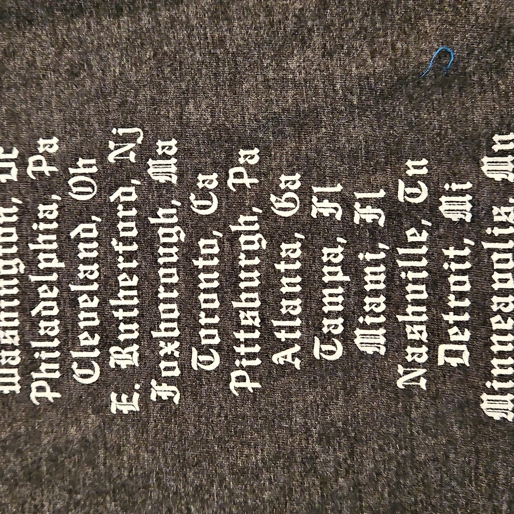 Taylor Swift  gray short sleeve graphic concert tee Med. REPUTATION tour dates - Picture 8 of 9
